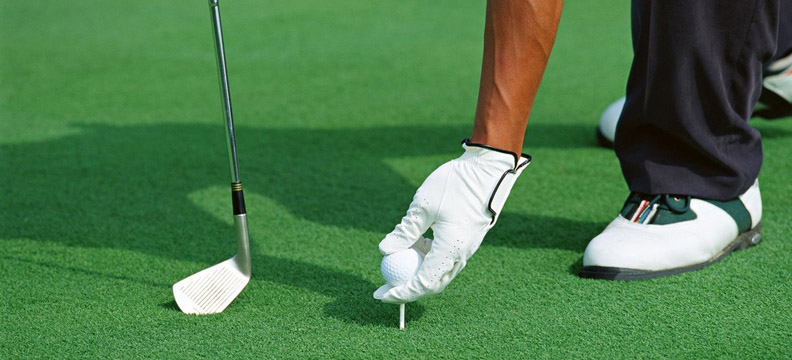 �߶����������