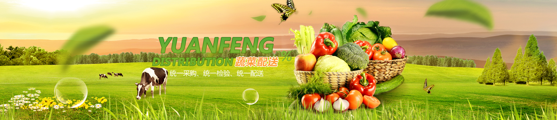 ���ڿƼ�����Ƽ����޹�˾